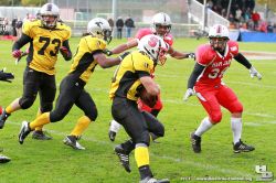 JLT-2013-H_Beck-0431
