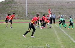HB_03196