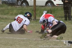 IMG_6217