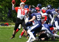 IMG_3986