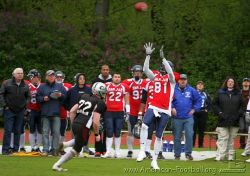 HB-Fotografie_Beck_IMG_1049