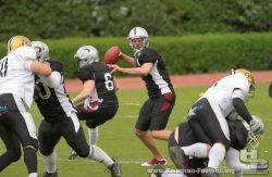 2011-05-14_Huskies-Seals_Foto_H_Beck_0373