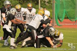 2011-05-14_Huskies-Seals_Foto_H_Beck_0469