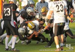 2011-05-14_Huskies-Seals_Foto_H_Beck_0944