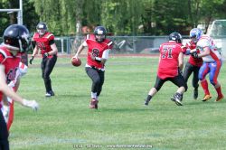 Stolze-HB_06225