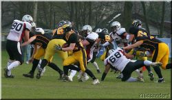 IMG_7507