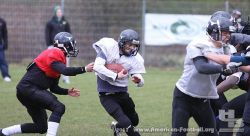 IMG_9264